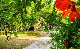 Ikiz Villas